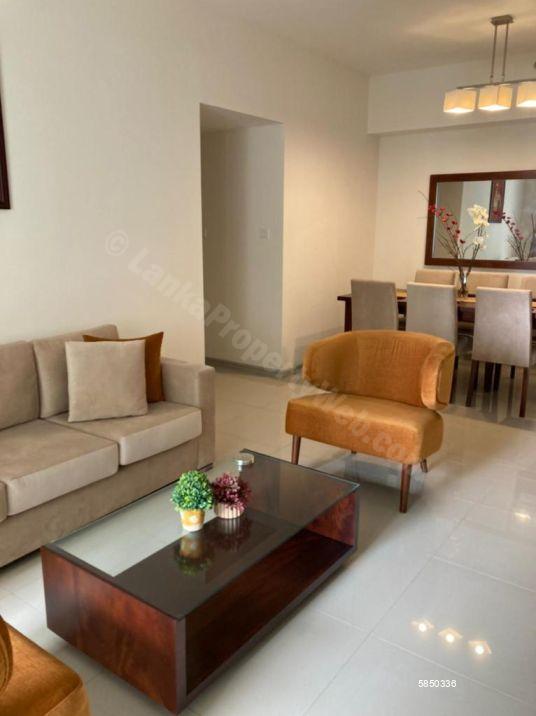 Living Room - Apartment for rent in Colombo 5