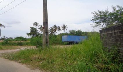 Bare Land