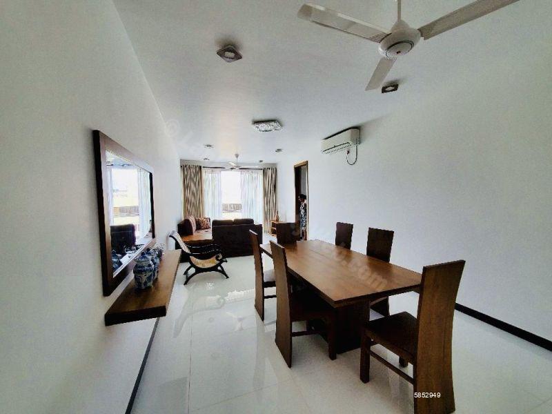 Dining room - Apartment for rent in Colombo 5