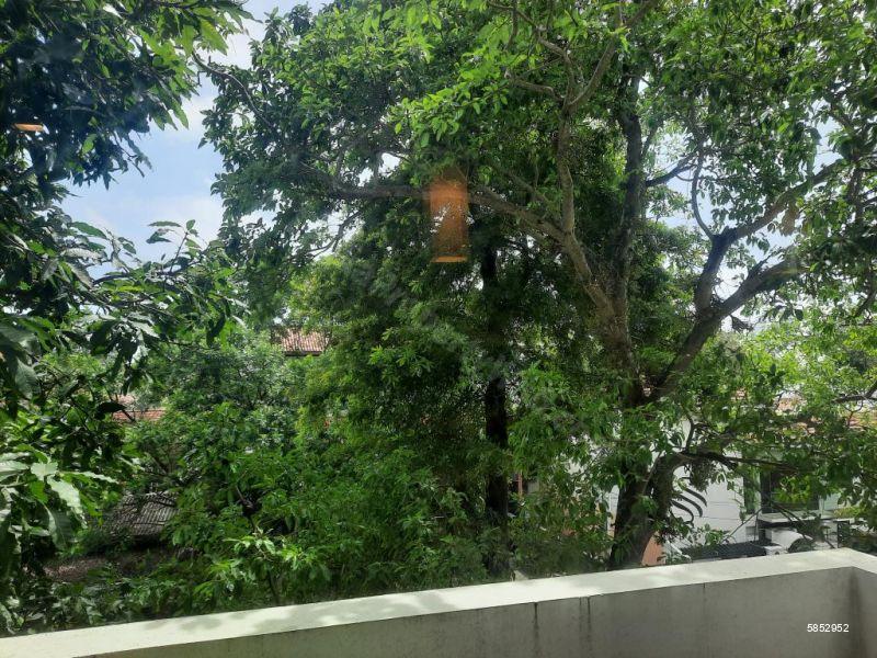 Exterior - Apartment for rent in Colombo 7