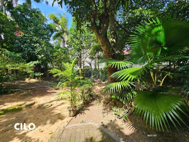 Bare Land for sale in Nawala