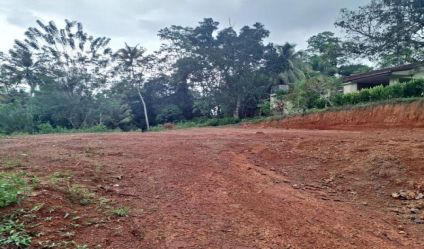Bare Land