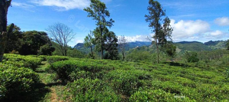 Bare Land for sale in Ella
