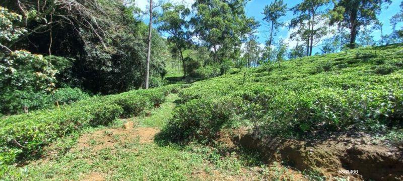 Bare Land for sale in Ella
