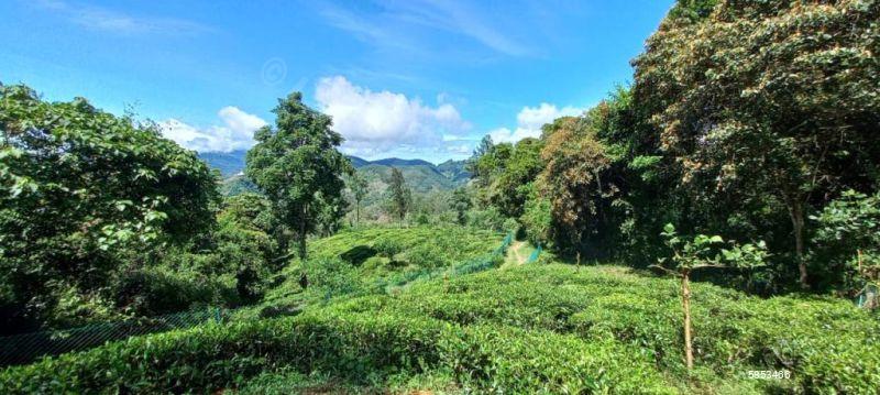 Bare Land for sale in Ella