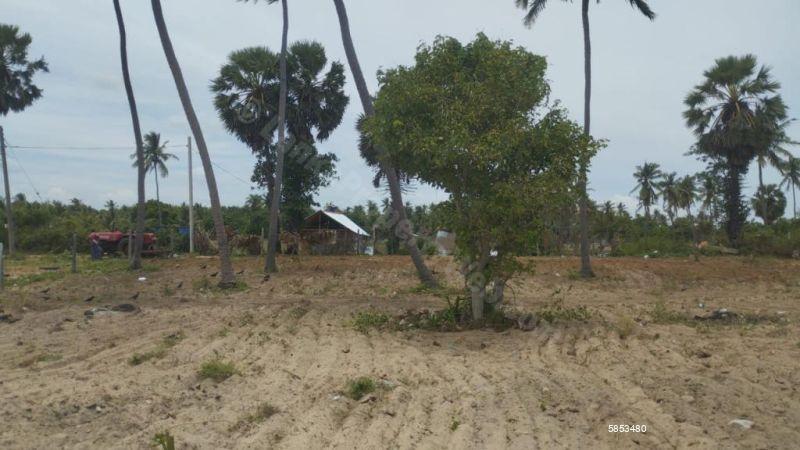 Beachfront land for sale in Nilaveli