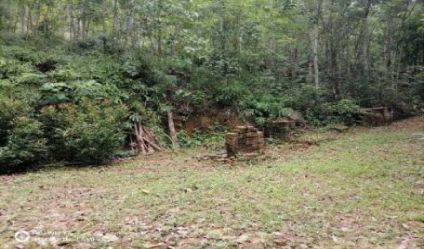 Bare Land