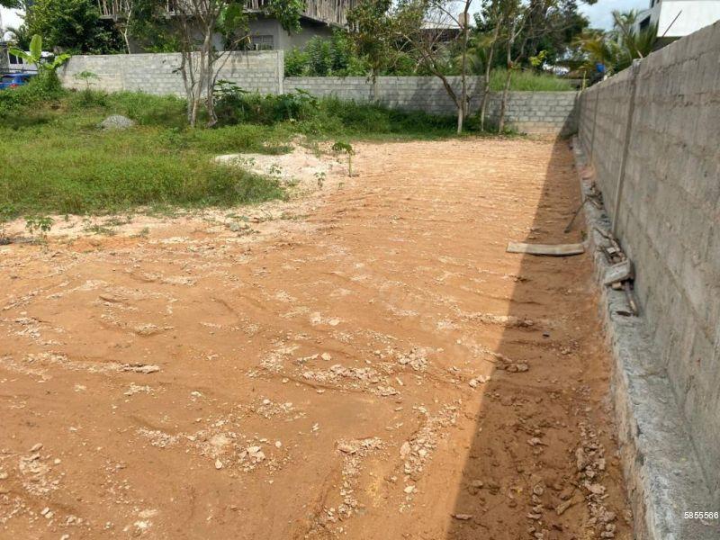 Bare Land for sale in Mirissa
