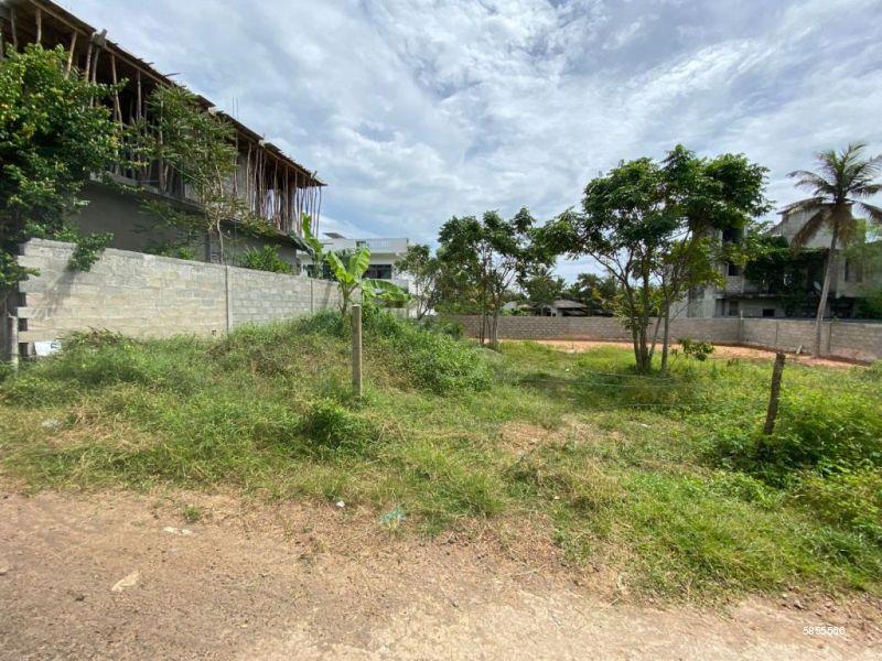 Bare Land for sale in Mirissa