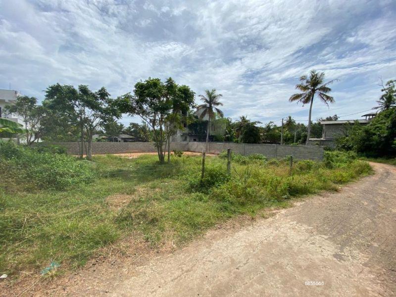 Bare Land for sale in Mirissa