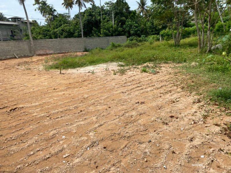 Bare Land for sale in Mirissa