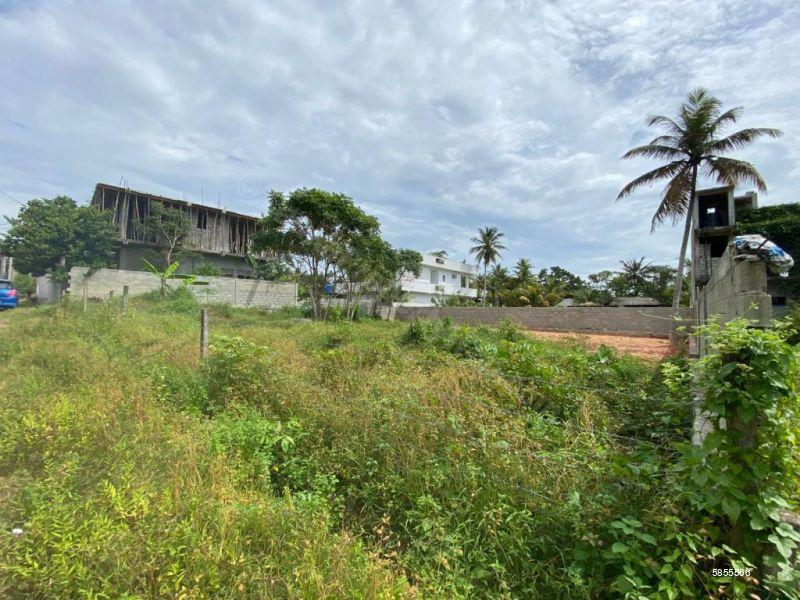 Bare Land for sale in Mirissa