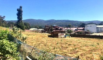 Bare Land