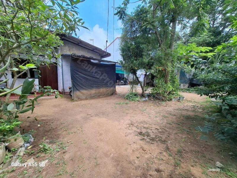 Bare Land for sale in Pelawatte