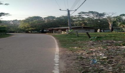 Bare Land