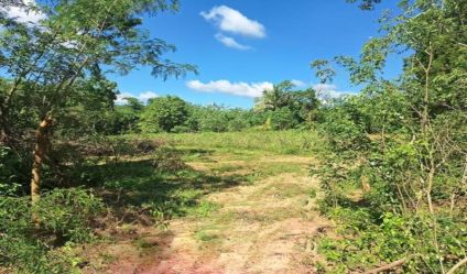 Bare Land