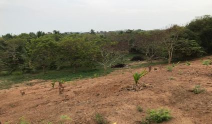 Beachfront land