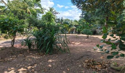 Land with house