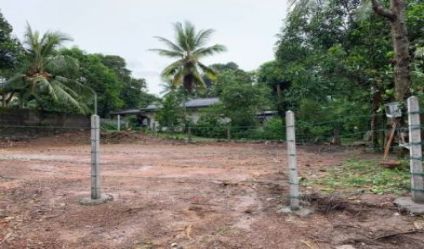 Bare Land