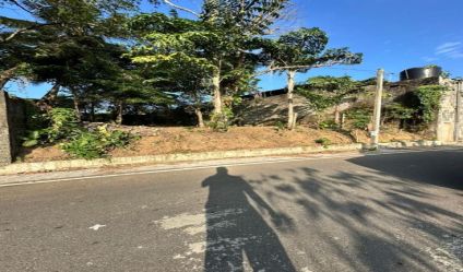 Bare Land