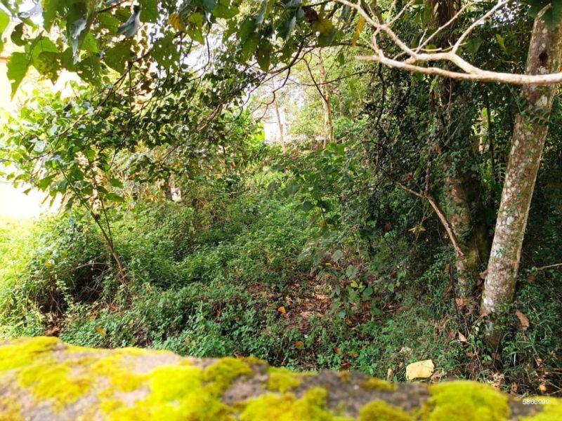 Bare Land for sale in Kottawa