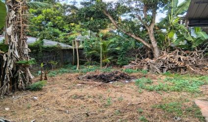 Land with house