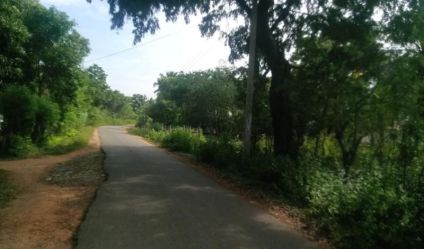 Bare Land