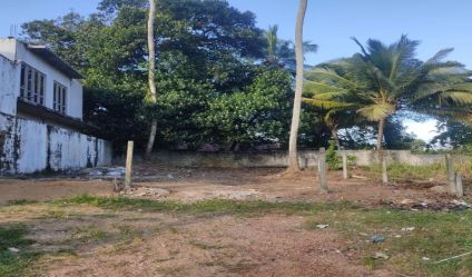 Bare Land