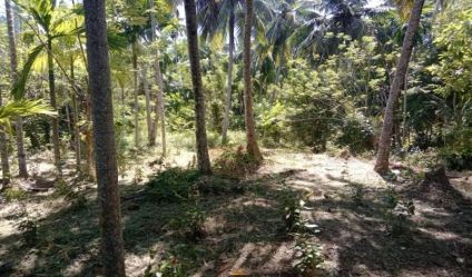 Land with house