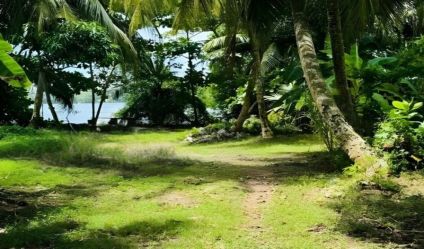 Bare Land