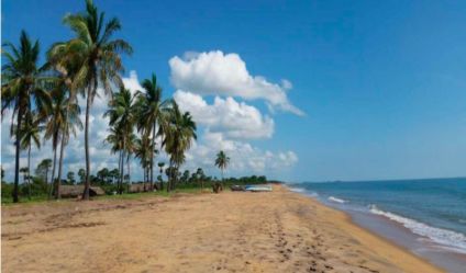 Beachfront land