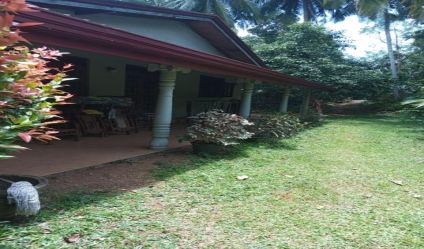 Land with house
