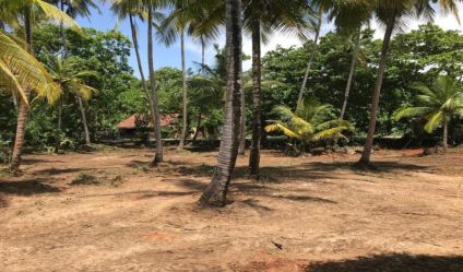 Waterfront land