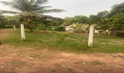 Bare Land