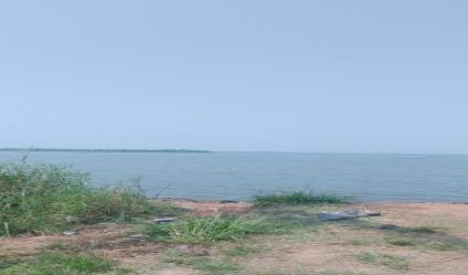 Bare Land