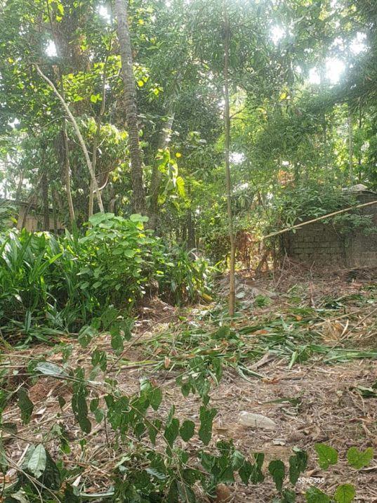Bare Land for sale in Gothatuwa