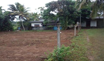 Bare Land