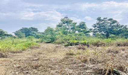 Land with house