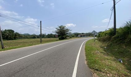 Bare Land