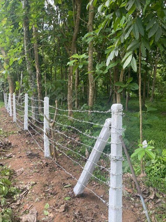 Cultivated Land for sale in Pannala