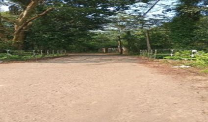 Bare Land