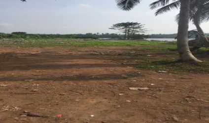 Bare Land