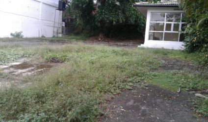 Bare Land