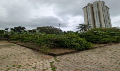 Bare Land