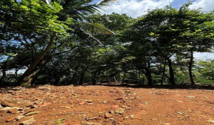 Bare Land