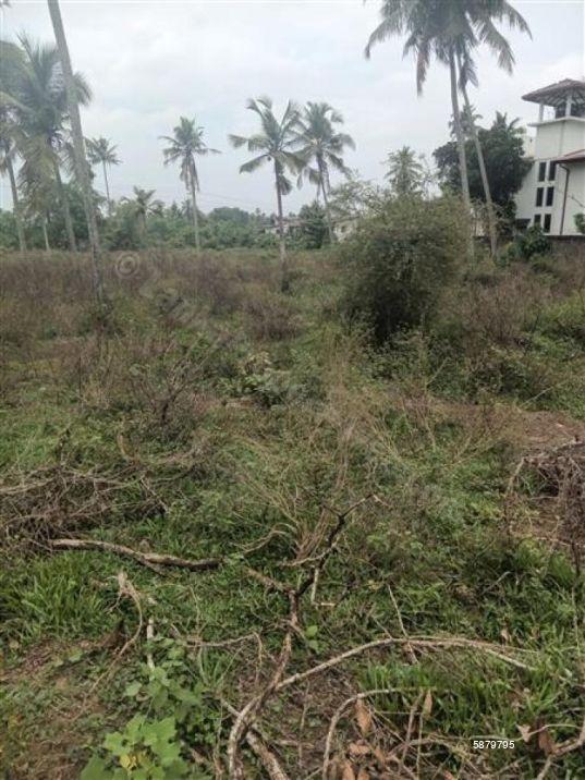 Bare Land for sale in Ja Ela