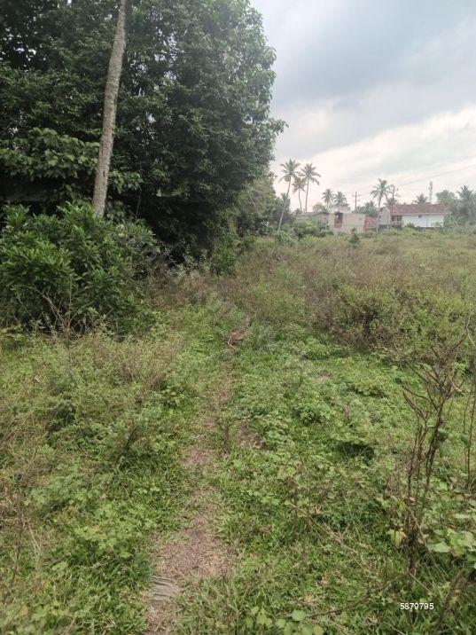 Bare Land for sale in Ja Ela