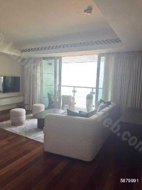 Living Room - Apartment for rent in Colombo 2
