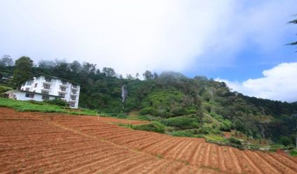 Bare Land