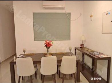 Dining room - Apartment for rent in Dehiwala